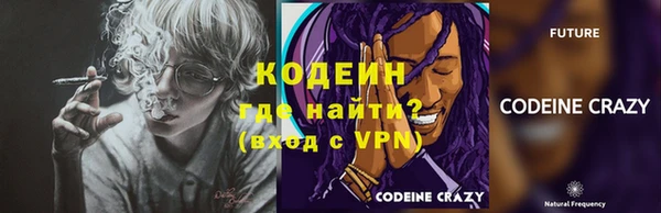 apvp Няндома