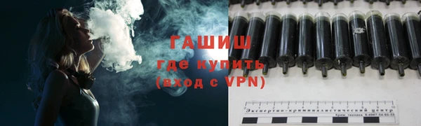 шишки Кирс