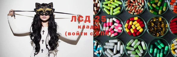 apvp Няндома