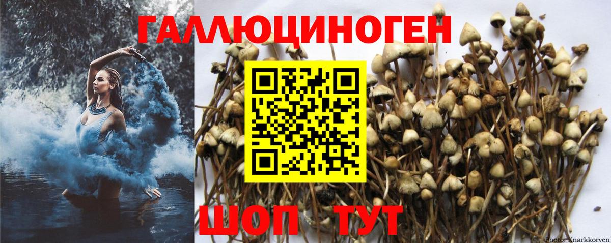 Лиски  Псилоцибиновые грибы MAGIC MUSHROOMS  Вход с VPN 
